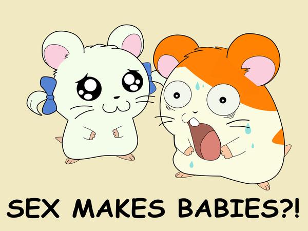 sex-makes-babies.jpg