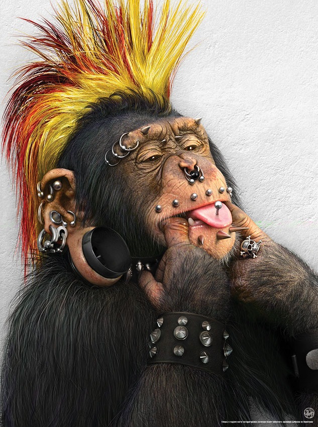 rock-ape
